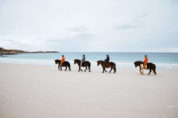 Group of riders riding Icelandic horses on Vinje beach