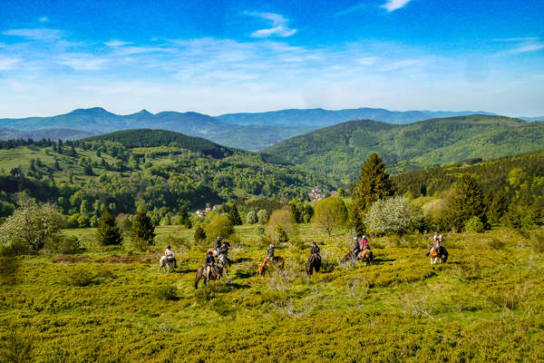 Group of riders riding in a green meadow in France
