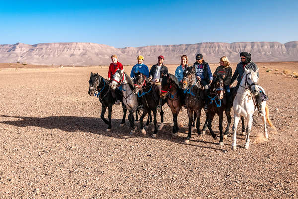 Group of riders riding side by side on Arabian stallions in morocco