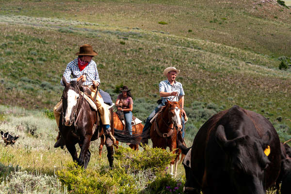 Group of riders riding western at TX ranch in Montana