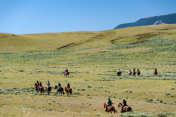 Group of riders scouting for cows in Montana