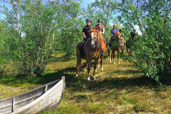 Group of riders shaded by some trees in Finland, Lapland