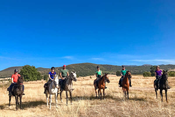 Group of riders standing in a field on horseback