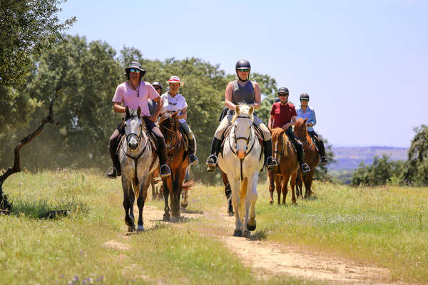 Group of riders trail riding through the fields and orchards of Portugal