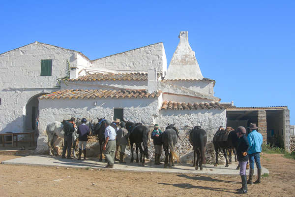Group of trail riders stopping for a break from the saddle