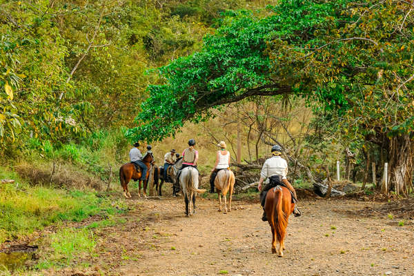 Group or riders entering a forest in Costa Rica