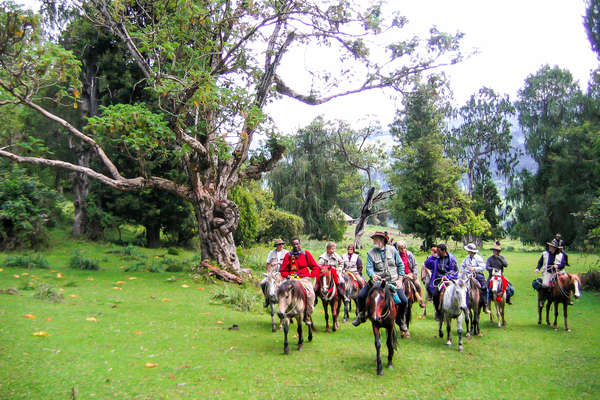 Groups of riders on a riding holiday in Ethiopia