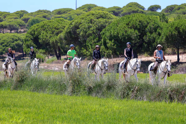 Guests on a horse vacation in Portugal (Alentejo), the Dolphin trail
