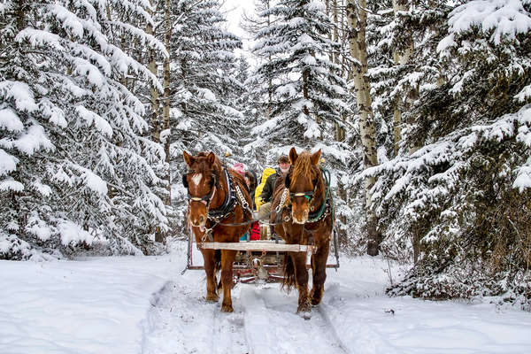 Guests on a sleigh ride on holiday on a ranch in Canada