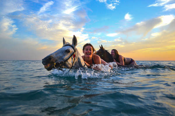 Guests swimming with horses in the sea in Crete