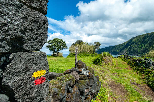 Hiking trail on Faial Island, Azores