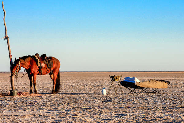 Horse and camp bed on a mobile horseback safari