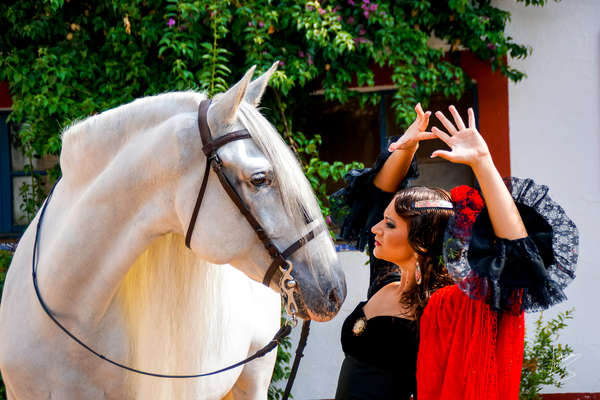 Horse and dancer, Epona, Spain