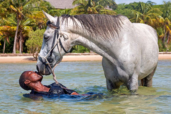 Horse and man bonding ina beach in Mozambique