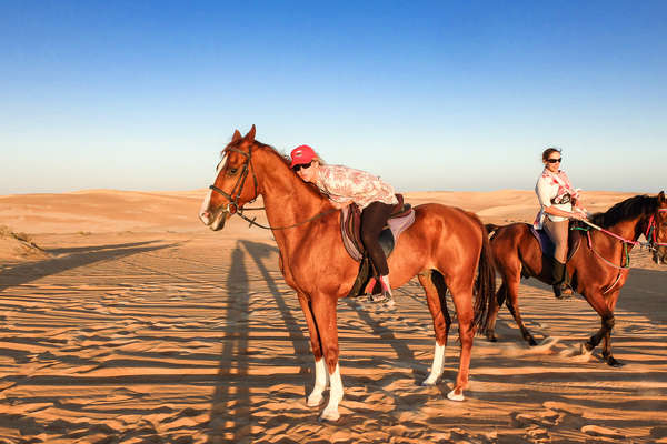 Horse and ride in the Omani desert