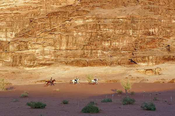 Horse and rider at canyons in Jordan