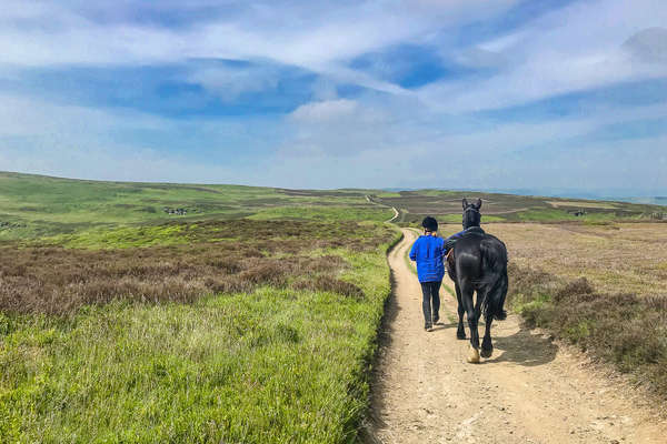 Horse and rider in the moors of Wales
