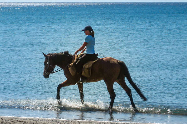 Horse and rider in the sea in Crete