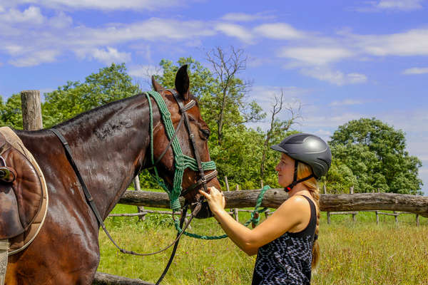 Horse and rider on a riding holiday in Hungary