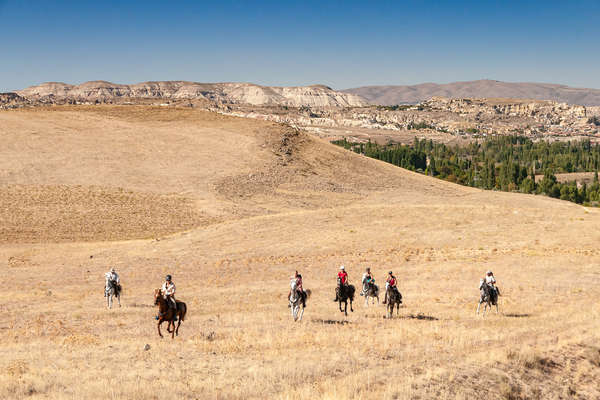 Horse and rider on fast trail ride in Turkey