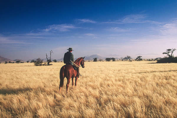 Horse and rider standing in a field of dry grass with mountains in the distance, Namibia