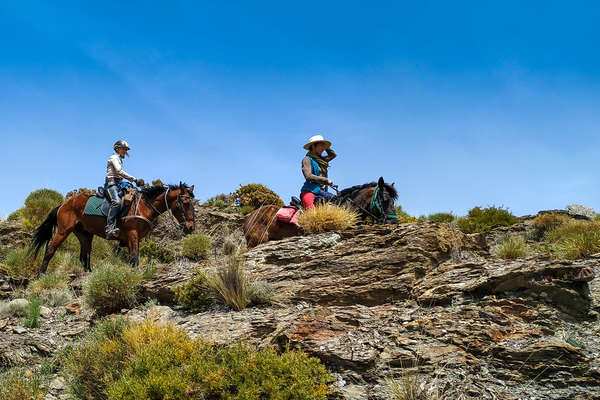 Horse and rider trail riding in Southern Spain