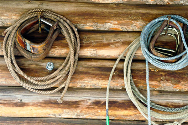 Horse drive ranch stay with hands on cowboy work Idaho


