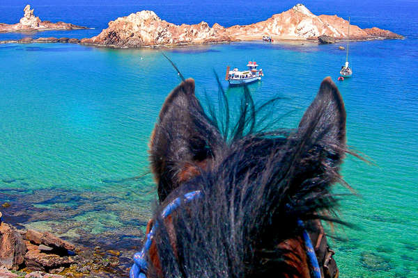 Horse looking out to the sea in Menorca