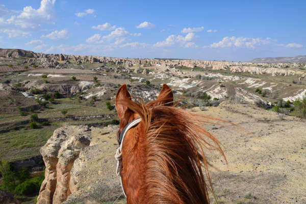 Horse on a trail in Cappadocia, Turkey