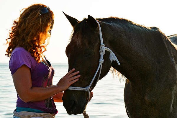 Horse riding holiday in Mozambique