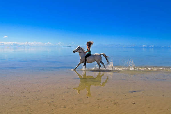 Horse riding holiday in Mozambique