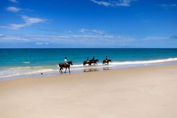 Horse riding holiday in Mozambique