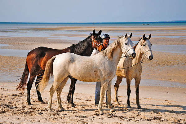 Horse riding holiday in Mozambique