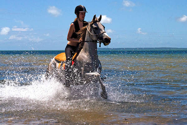 Horse riding holiday in Mozambique