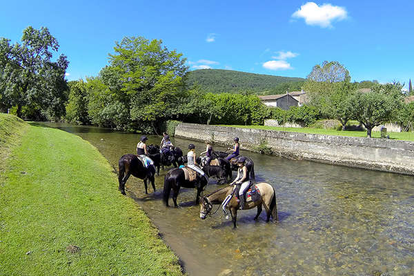 Horse riding holiday in The Pyrenees