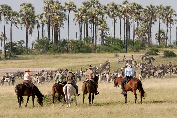 Horse riding in the Makgadikgadi salt pans