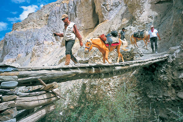 Horse riding trail and pack trip in Ladakh