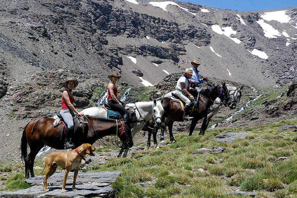 Horse riding trails in the Sierra Nevada Mountains