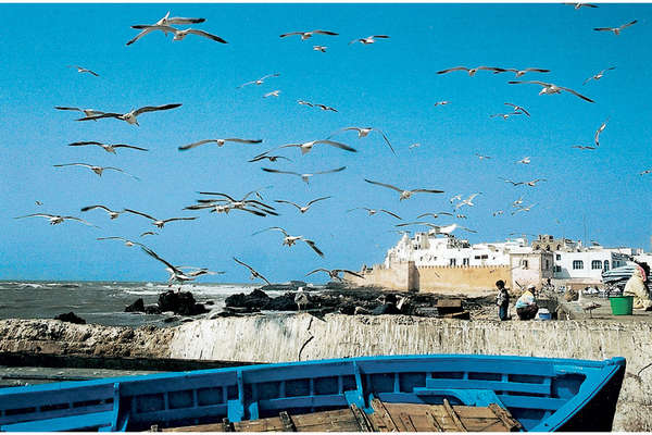 Horse riding vacation across the beaches of Morocco