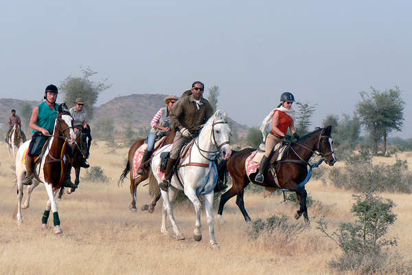 Horse trail ride through the Thar desert and Naguar Fair 