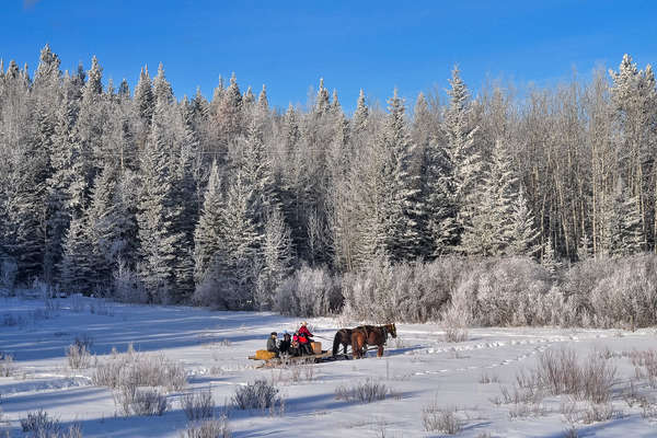 Horseback holiday in Canada, at Moose Mountain ranch