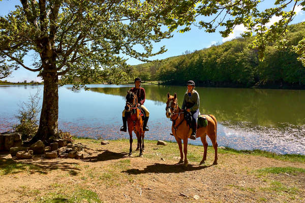 Horseback holidays in Sicily from the Madonie to the Etna