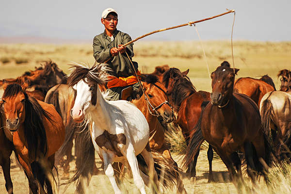 horseback in Mongolia