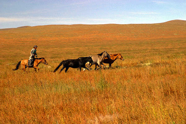 horseback in Mongolia