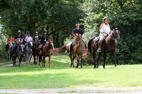 Horseback in Poitou