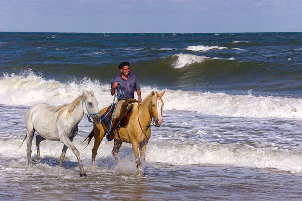 Horseback ride along coastal trail in Uruguay