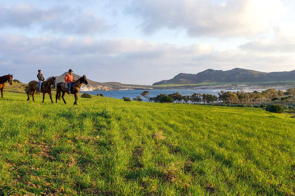 Horseback rider guiding a group of riders