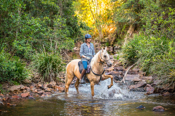 Horseback rider in a creek on horseback in Australia