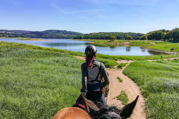 Horseback rider in Burgundy