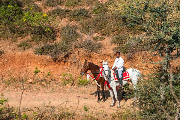 Horseback rider in Rajasthan